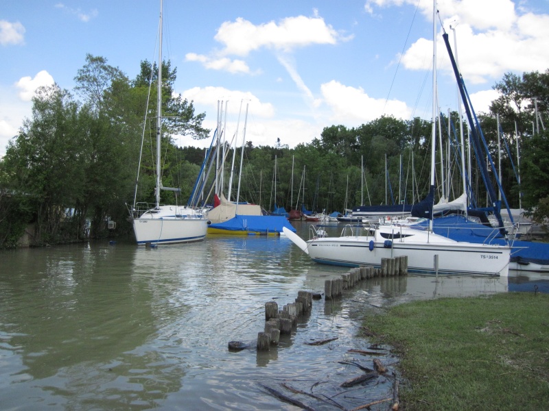 hochwasser2013-11.jpg